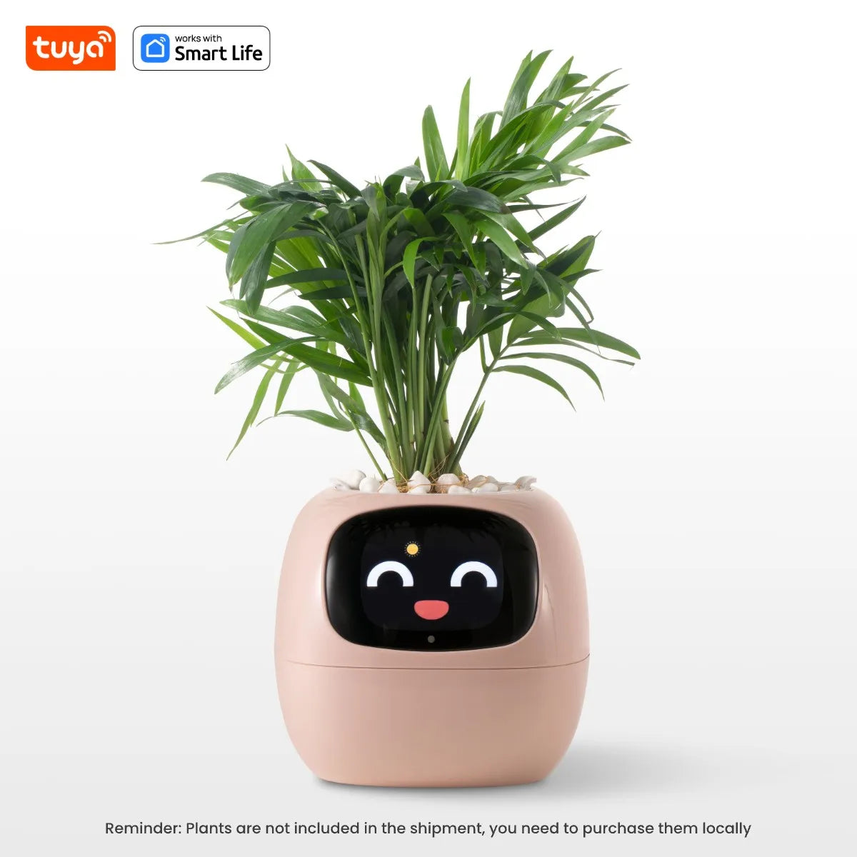 Smart Planter