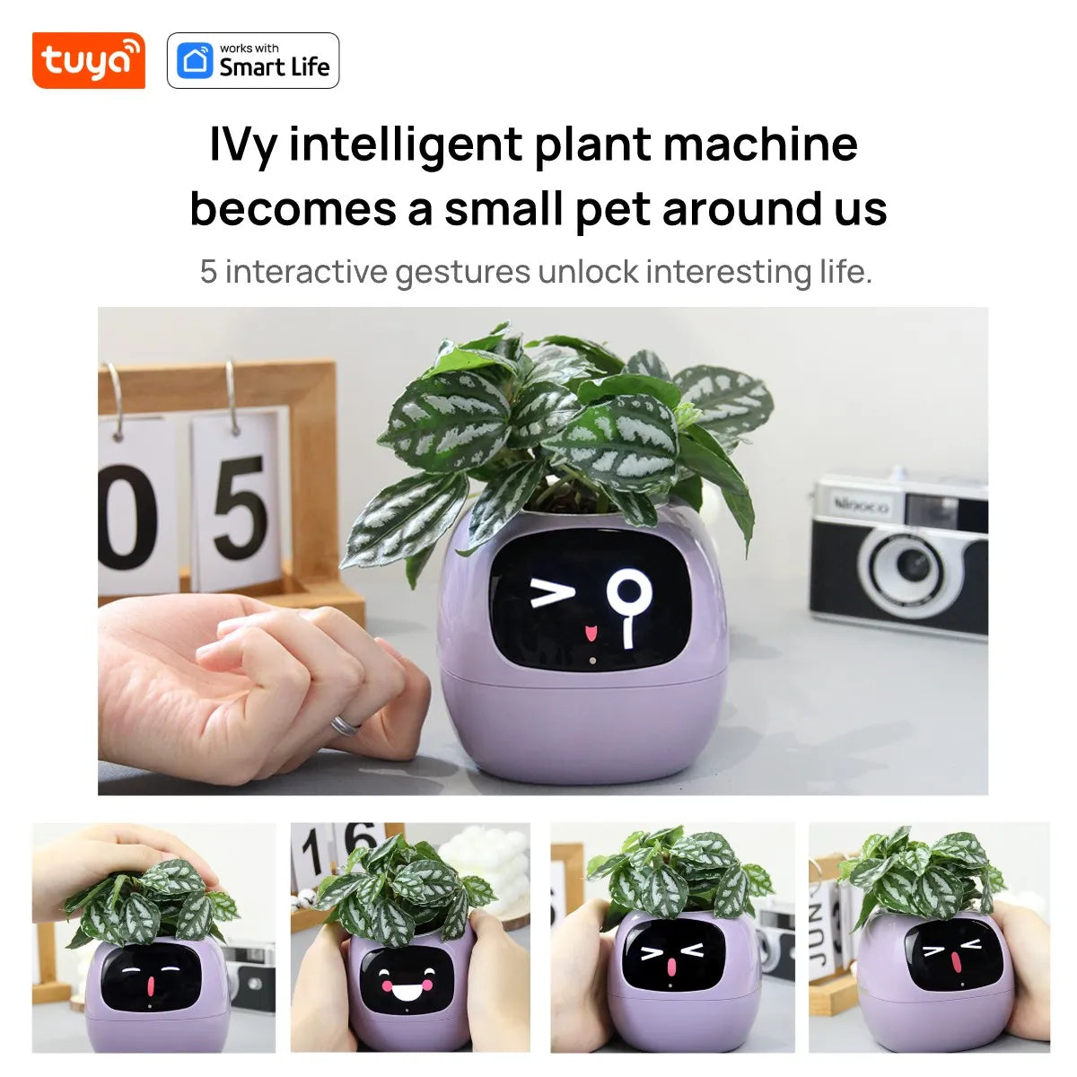 Smart Planter