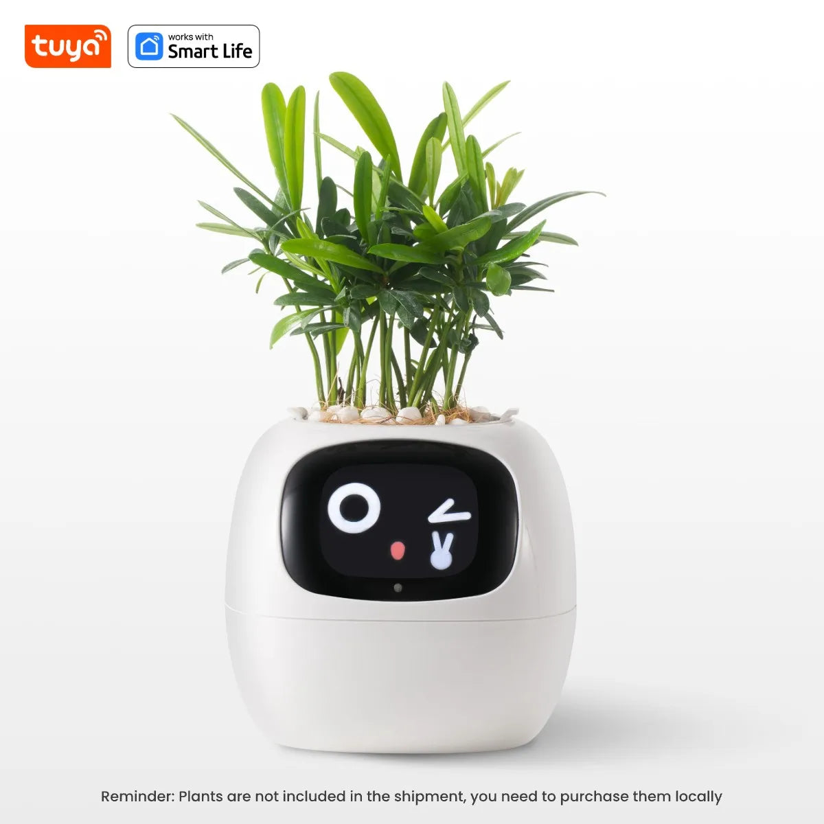 Smart Planter