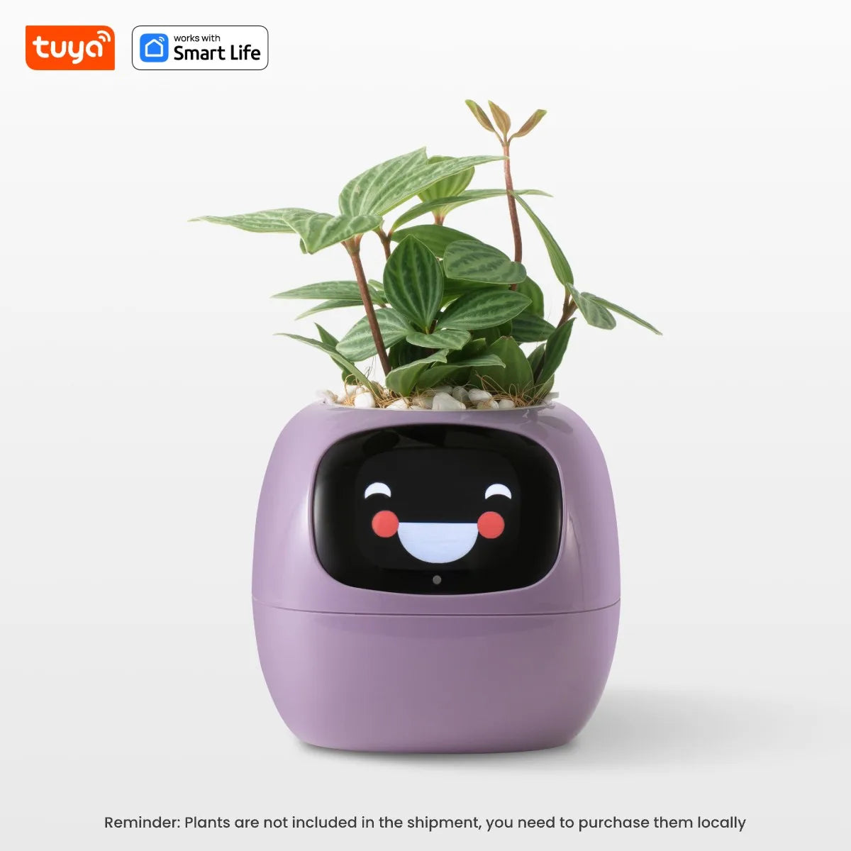 Smart Planter