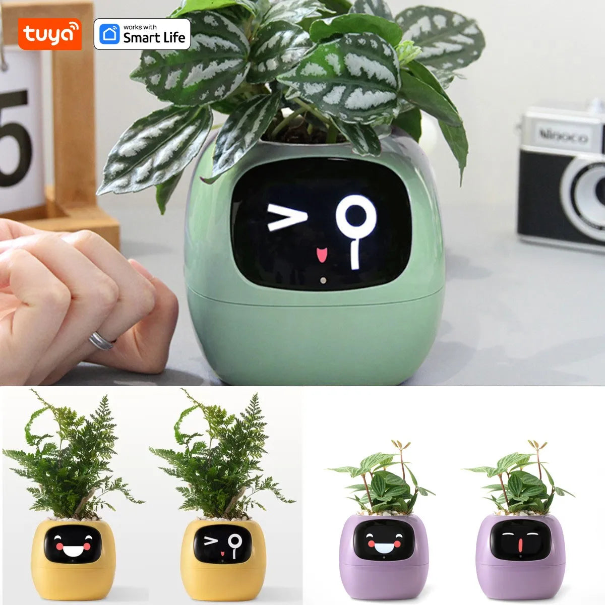 Smart Planter